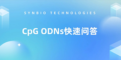 CpG ODNs快速问答