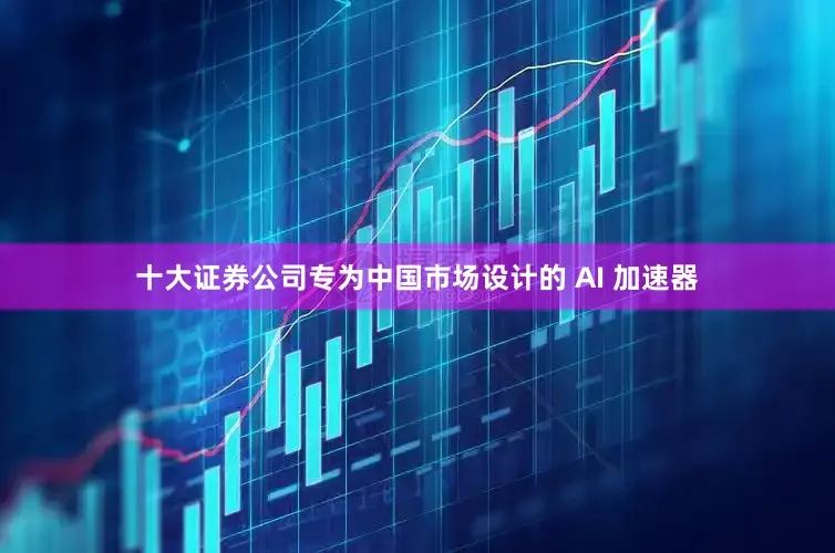 十大证券公司专为中国市场设计的 AI 加速器