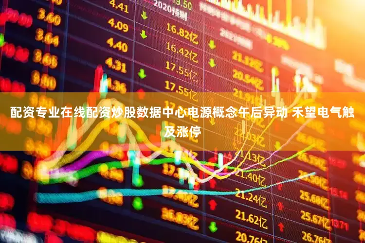 配资专业在线配资炒股数据中心电源概念午后异动 禾望电气触及涨停