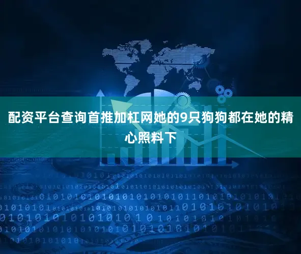 配资平台查询首推加杠网她的9只狗狗都在她的精心照料下