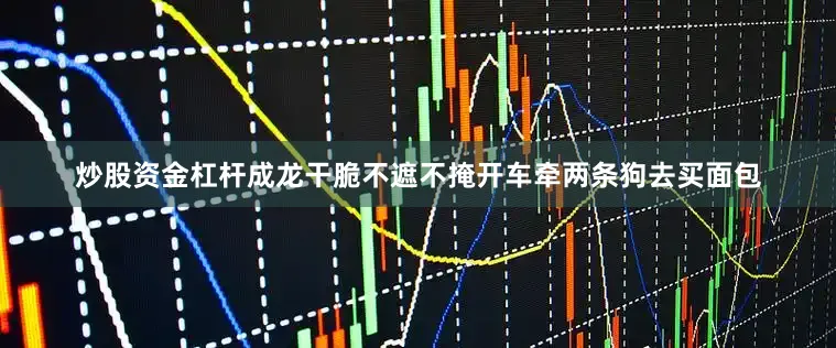 炒股资金杠杆成龙干脆不遮不掩开车牵两条狗去买面包