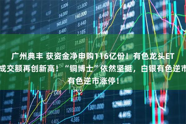 广州典丰 获资金净申购116亿份！有色龙头ETF全天成交额再创新高！“铜博士”依然坚挺，白银有色逆市涨停！