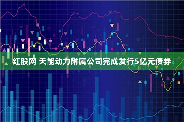红股网 天能动力附属公司完成发行5亿元债券