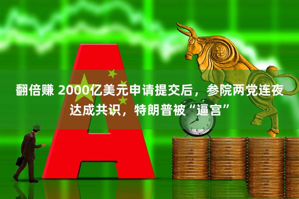翻倍赚 2000亿美元申请提交后，参院两党连夜达成共识，特朗普被“逼宫”