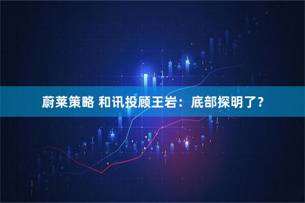 蔚莱策略 和讯投顾王岩：底部探明了？