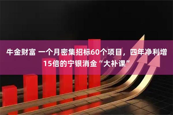 牛金财富 一个月密集招标60个项目，四年净利增15倍的宁银消金“大补课”