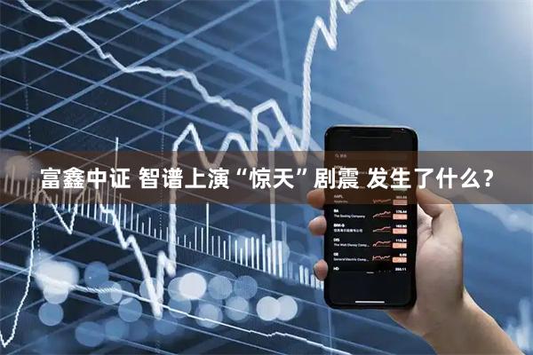 富鑫中证 智谱上演“惊天”剧震 发生了什么？